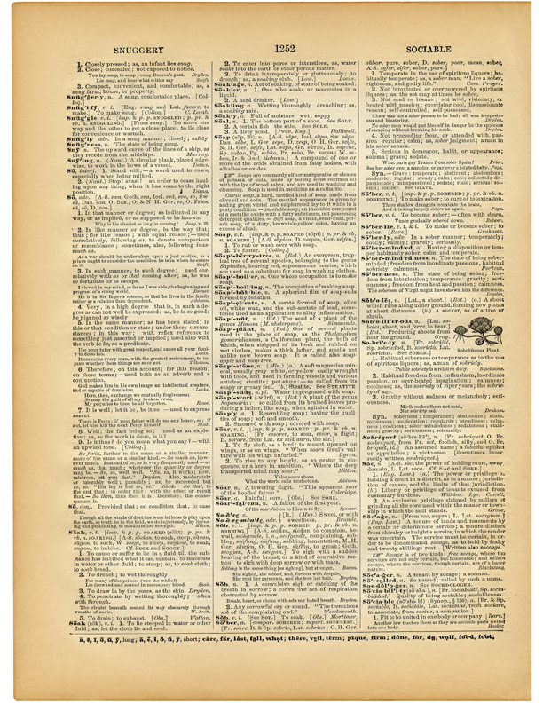 dictionary page