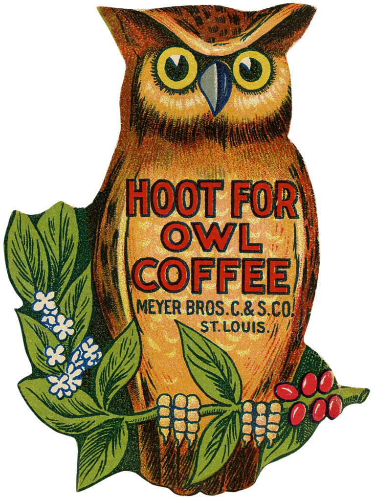 Cutest Vintage Owl Images