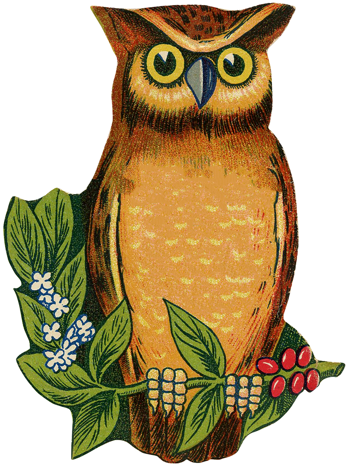 country clipart owls