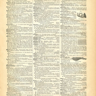 Printable Dictionary Page