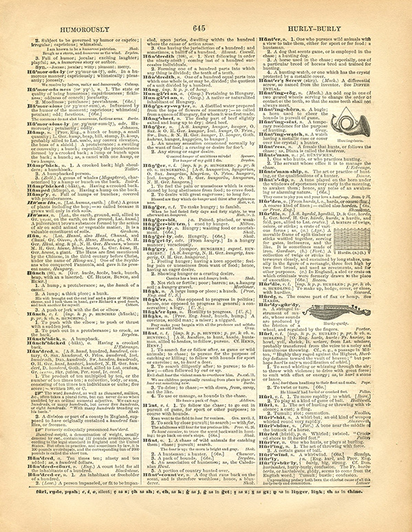 dictionary page