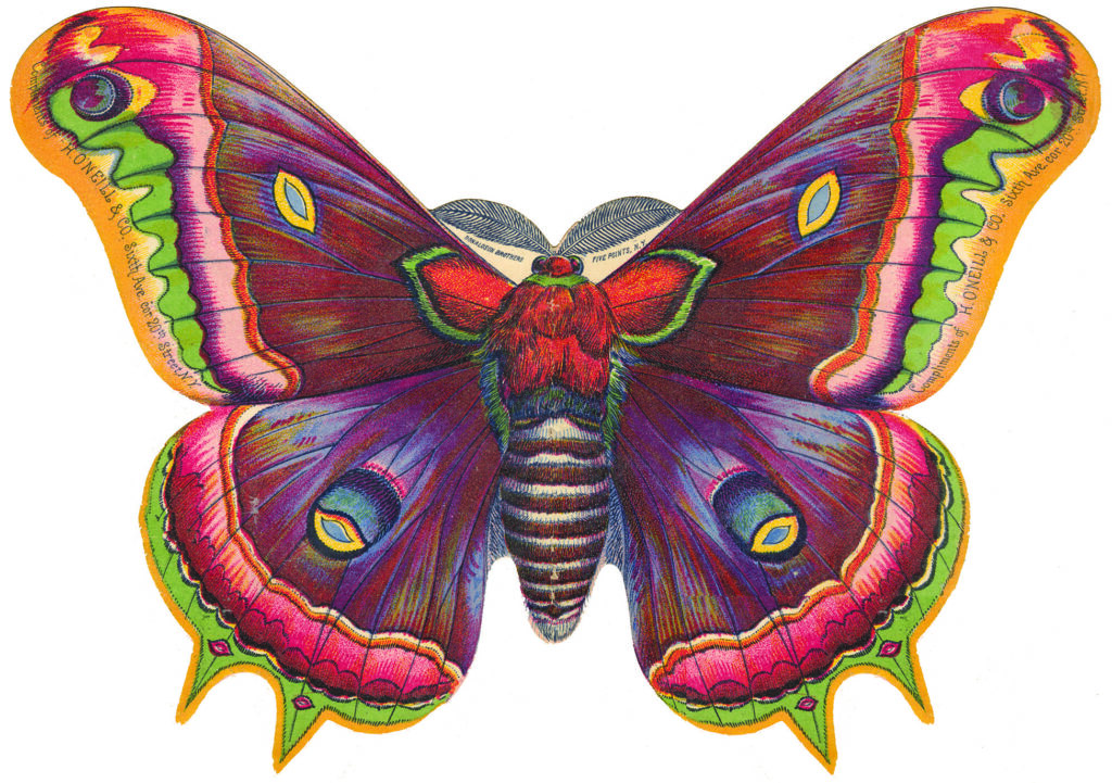 Large Butterfly Moth Die Cut