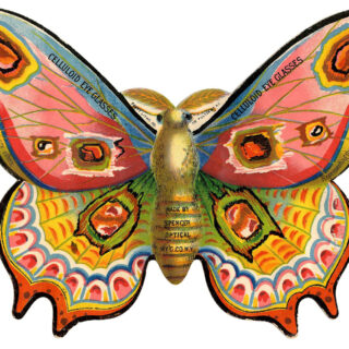 Colorful Moth Ad Image