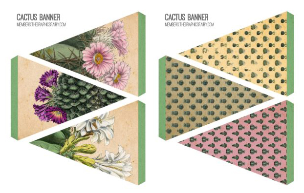 cactus and succulents collage banner