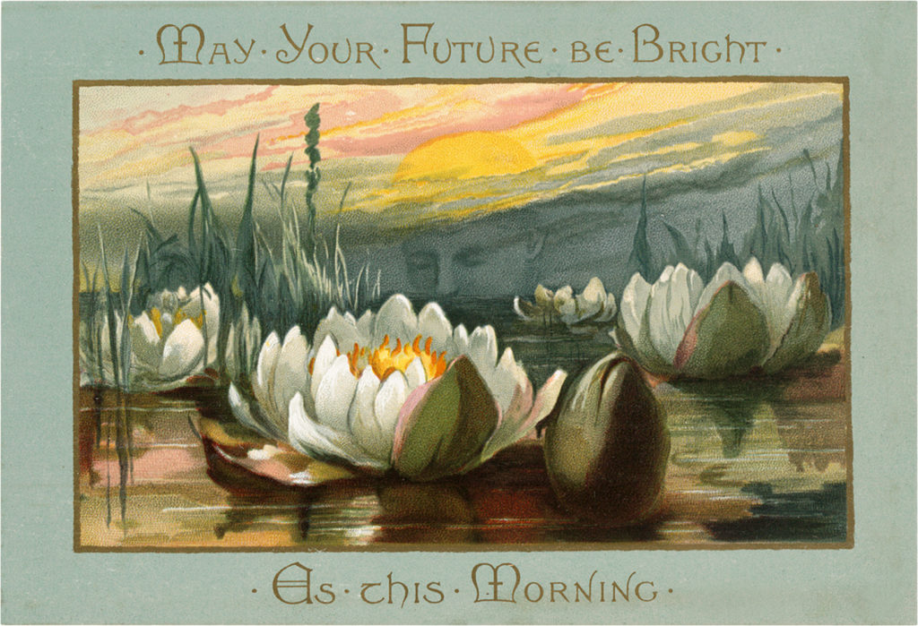 Printable Floral Card WaterLilies