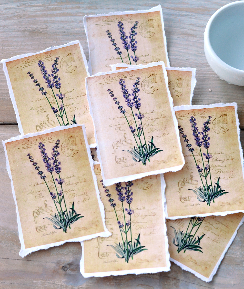 Torn paper Lavender Tags