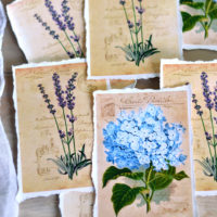 Hydrangea and Lavender Tags with torn paper edges