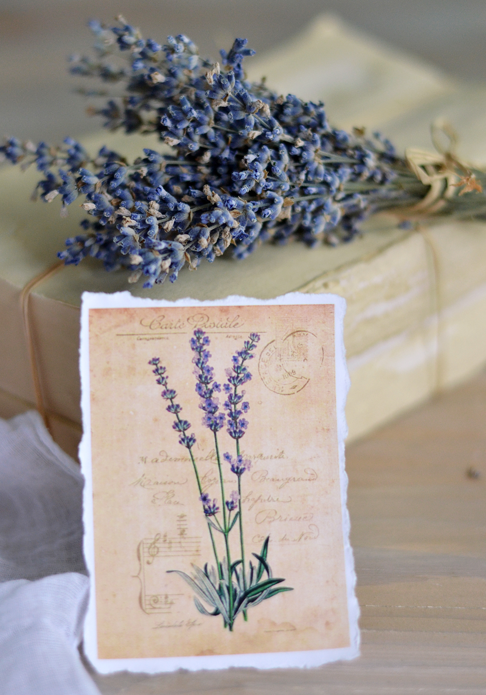 Hydrangea and Lavender vintage tags + free printable