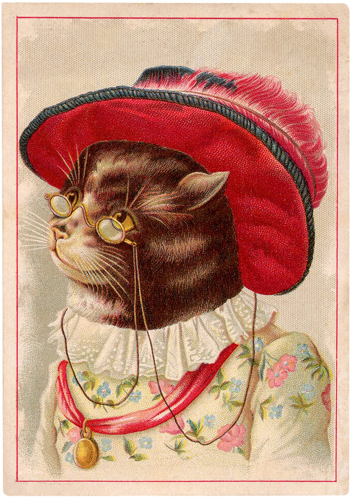 Charming Vintage Cat in Feathered Hat Trade Card