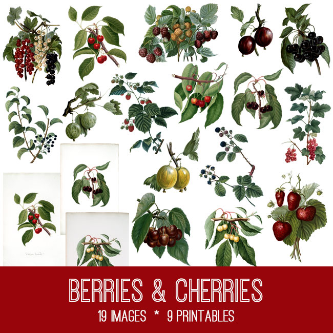 Berries and Cherries Collage 