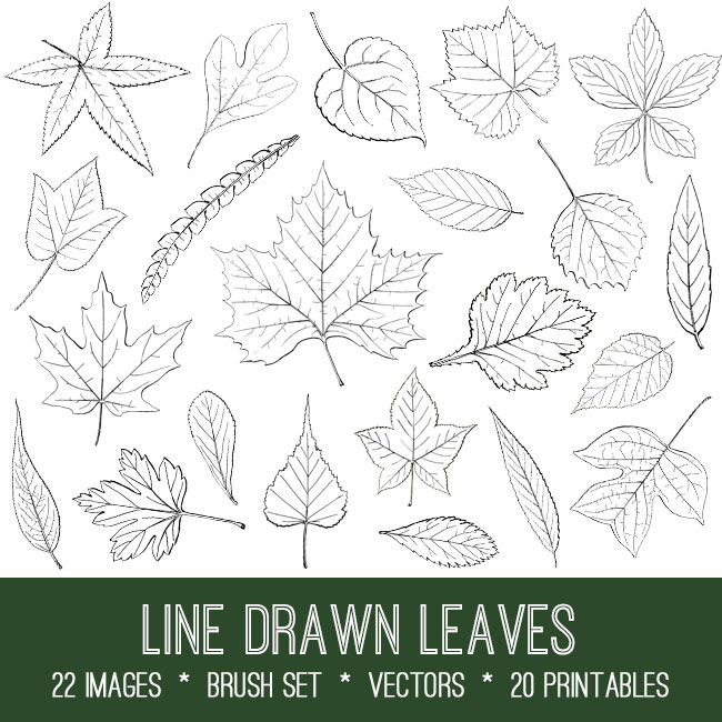 line drawn leaves collage