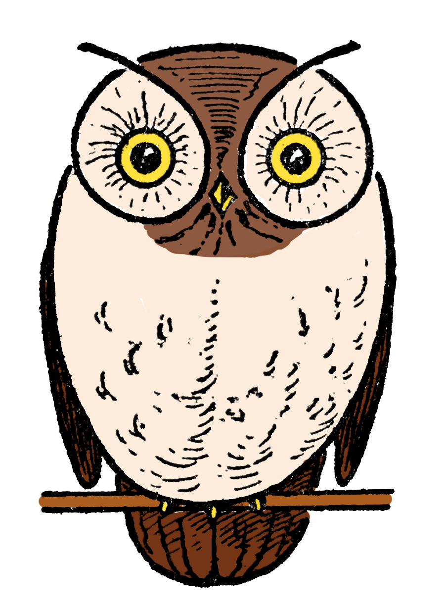 Owl drawing hi-res stock photography and images - Alamy