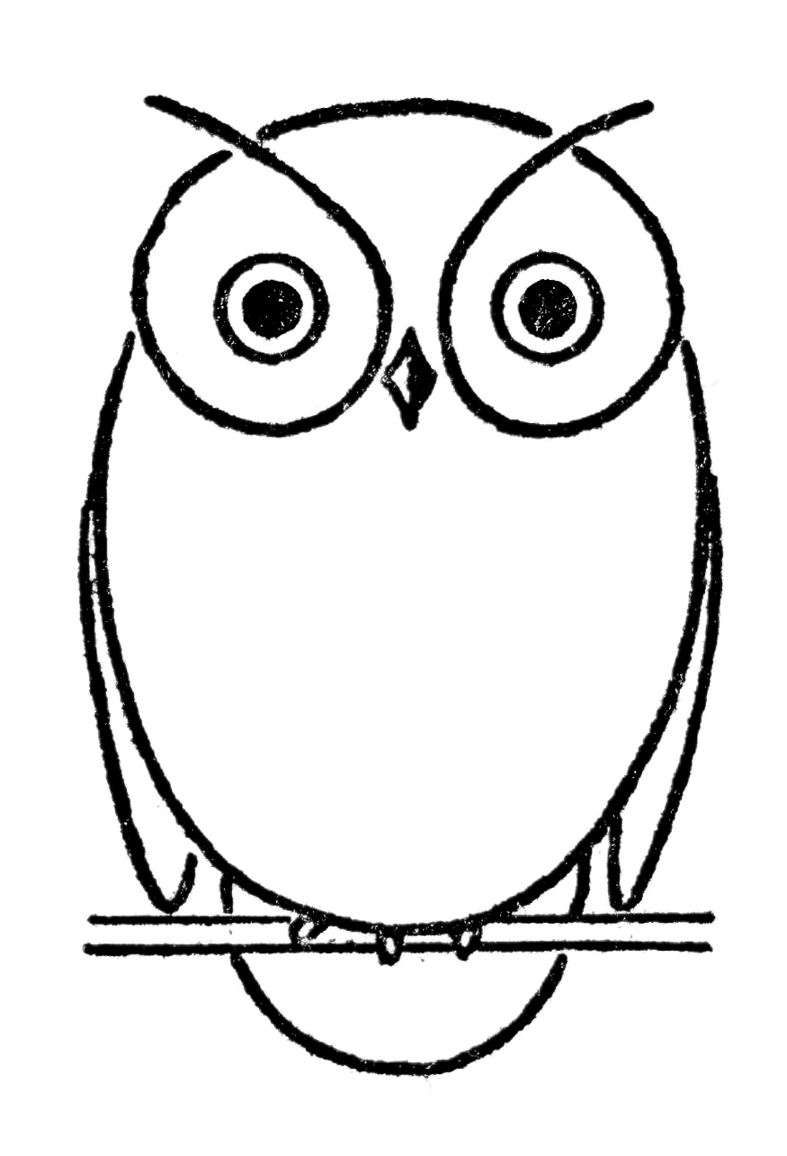 Realistic Owl Face Coloring Page | Easy Drawing Guides