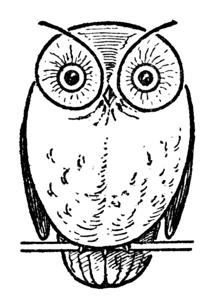 Owl Drawing Step by Step (3 ways)! - The Graphics Fairy