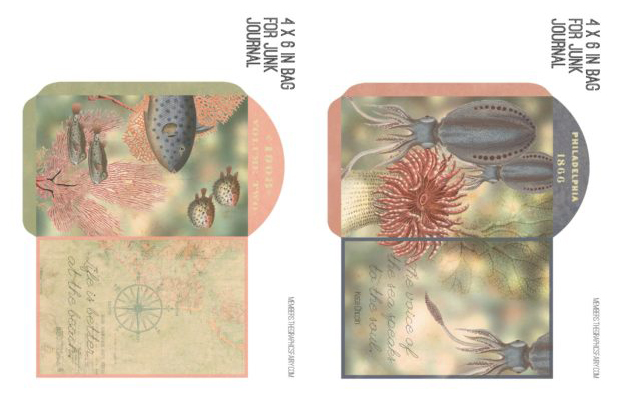 Sea life ephemera collage with fish and seaweed bag