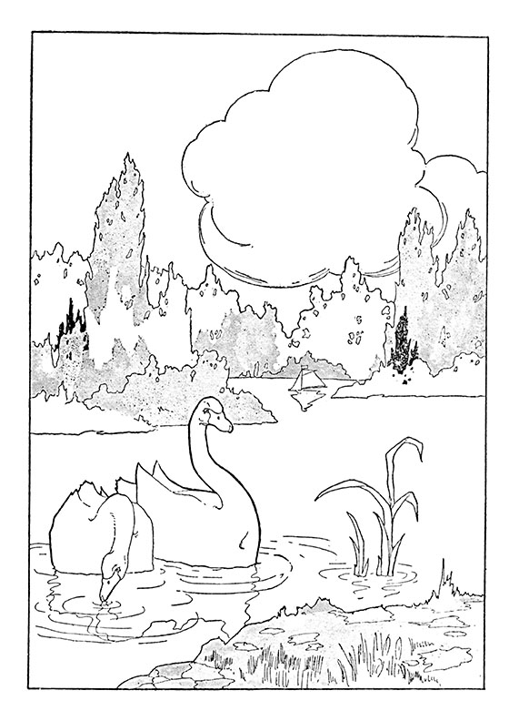 coloring pages of a swan