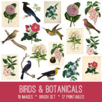 collage of birds with flowers