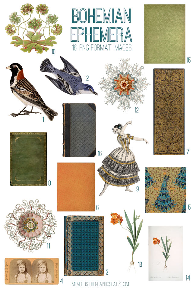 Bohemian collage with ladies and birds