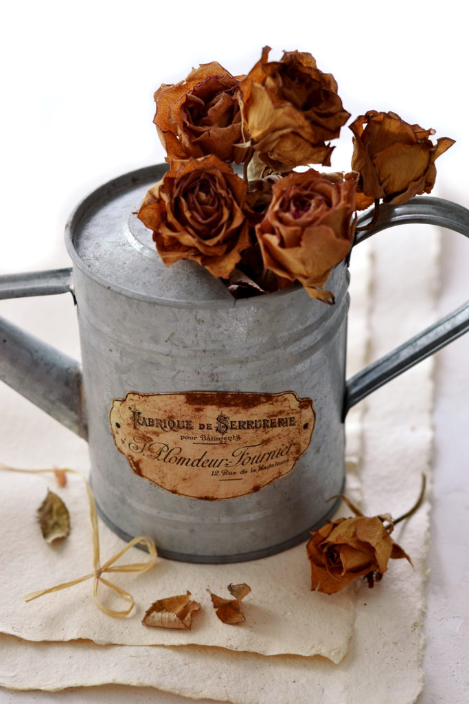 Watering Can with Roses 