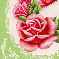 Pink roses flowers image