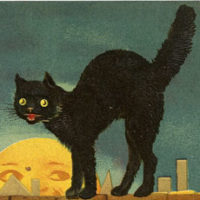 Halloween black cat image