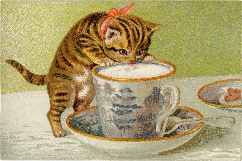 Tabby Cat Image with Teacup