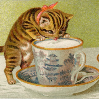 Tabby Cat Image with Teacup