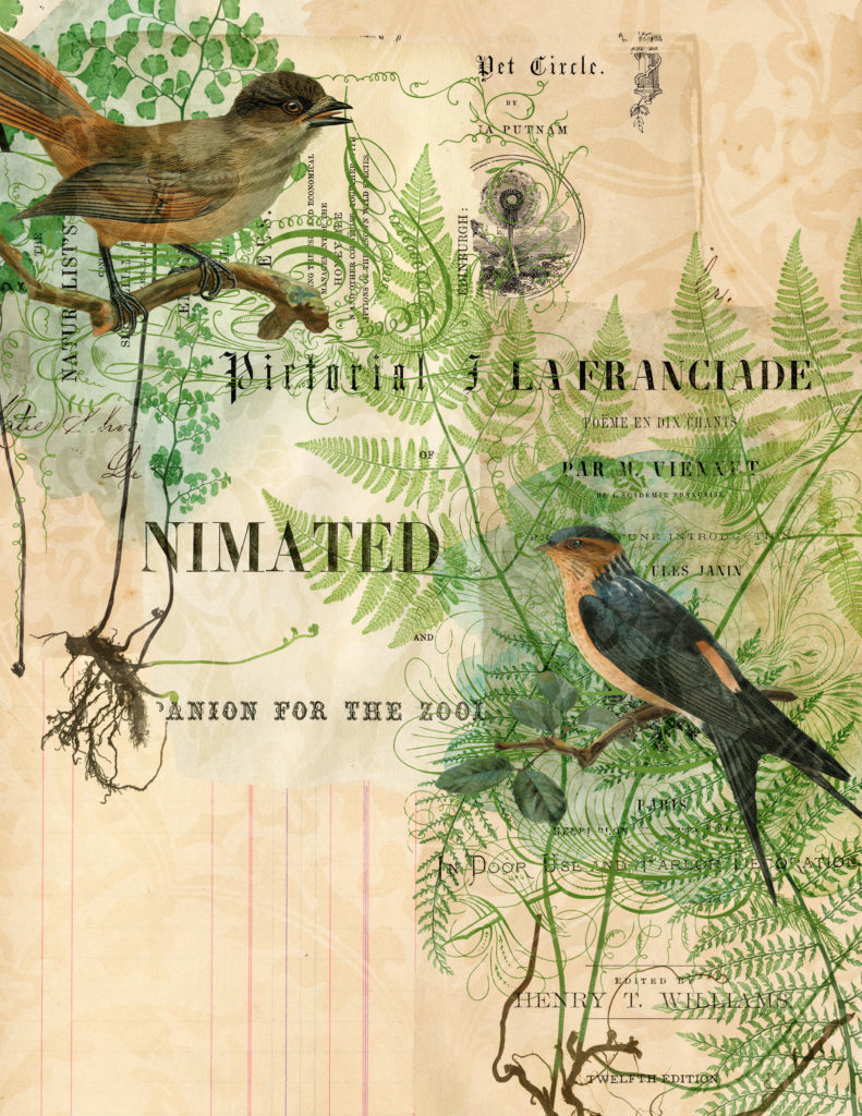 Photoshop Elements Collage with birds, ferns and French typography