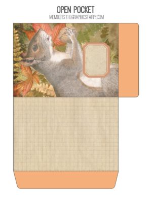 Fall collage with squirrel