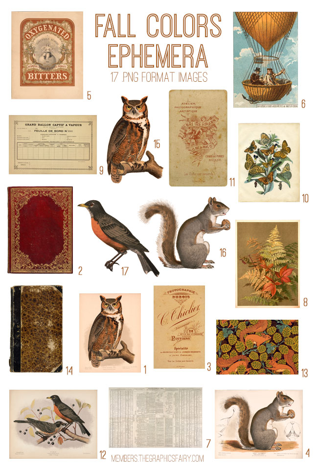 Fall collage with owls and squirrel