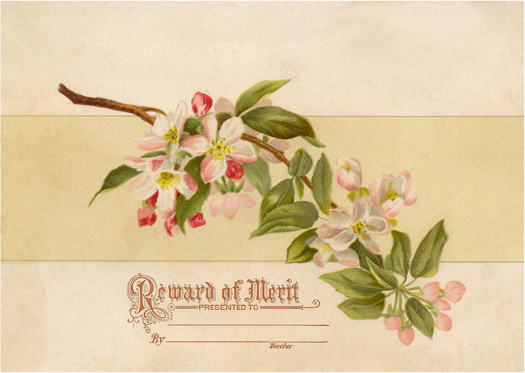 Floral Reward of Merit Card