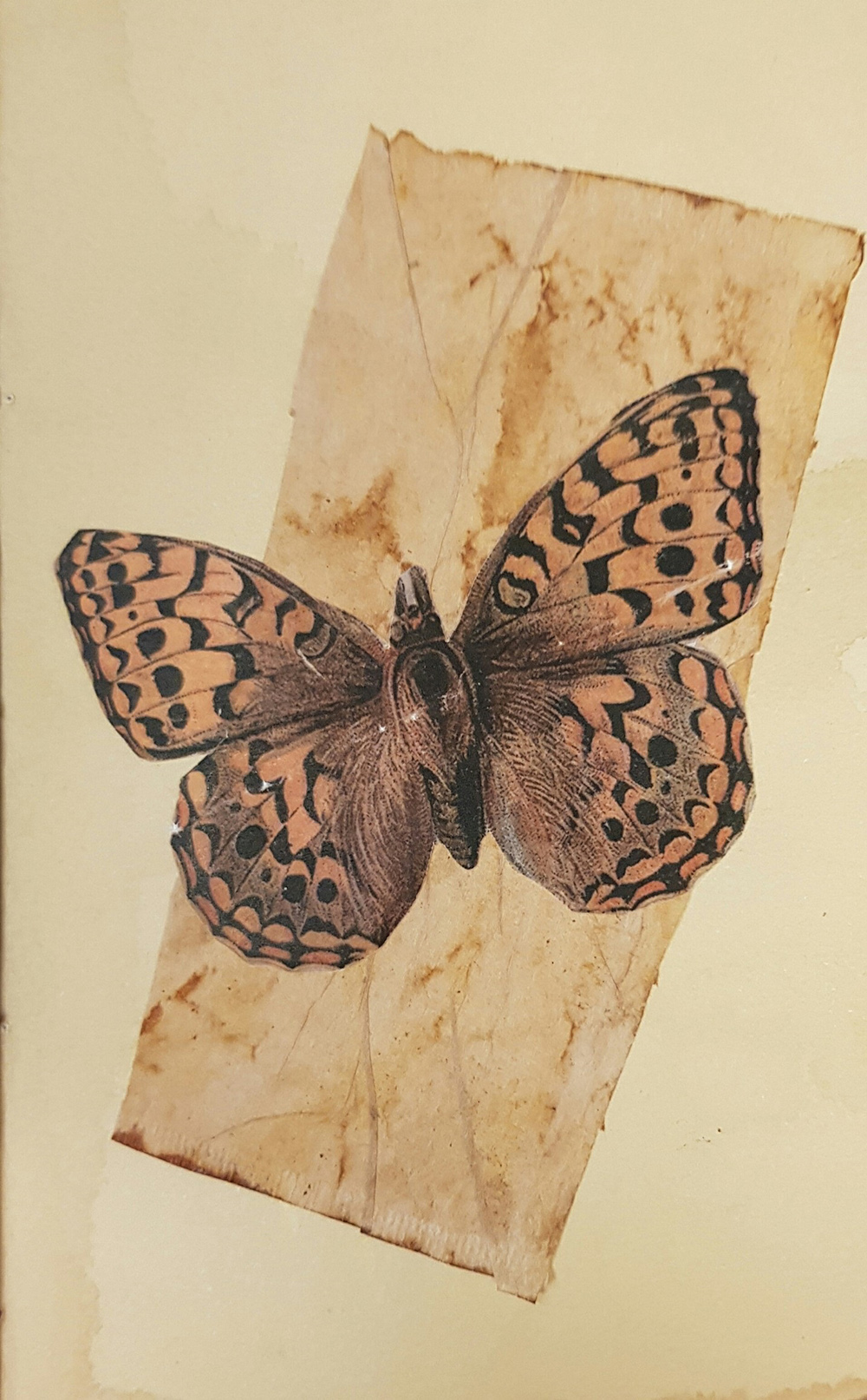 Vintage Travelers Pocket Junk Journal Butterfly