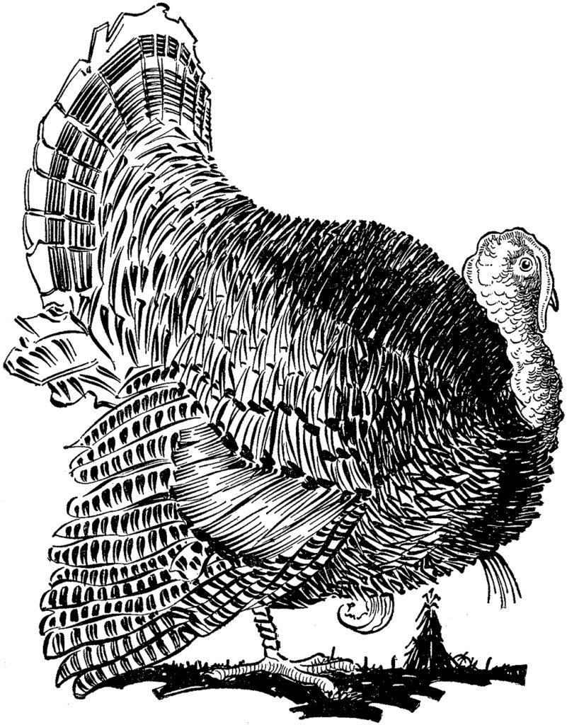 Vintage Turkey Clipart