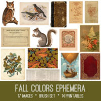 fall collage with squirrels, owl and birds