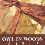 Owl in Woods Junk Journal Pin