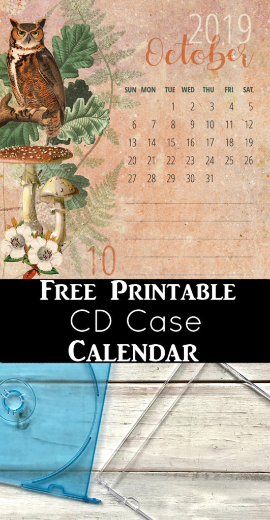 Free Printable Calendar 2019 for CD Case