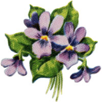 Retro Flowers Image Violets