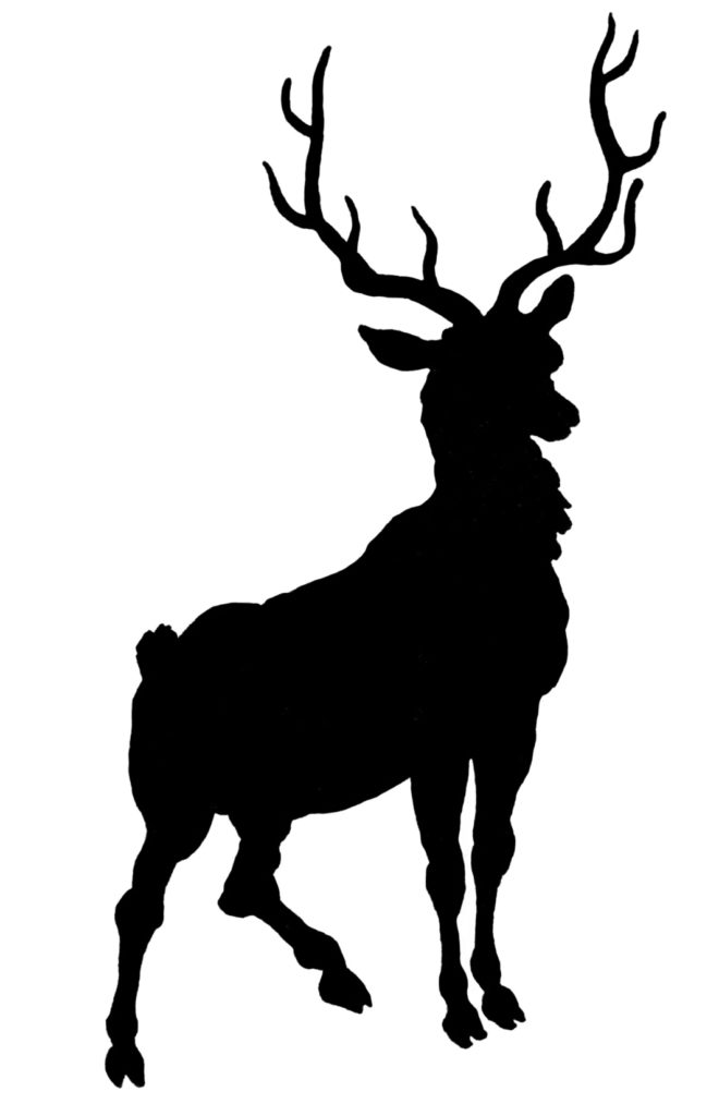 Deer with Antlers Silhouette Image