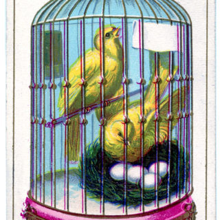 A close up of a cage with canaries and nest