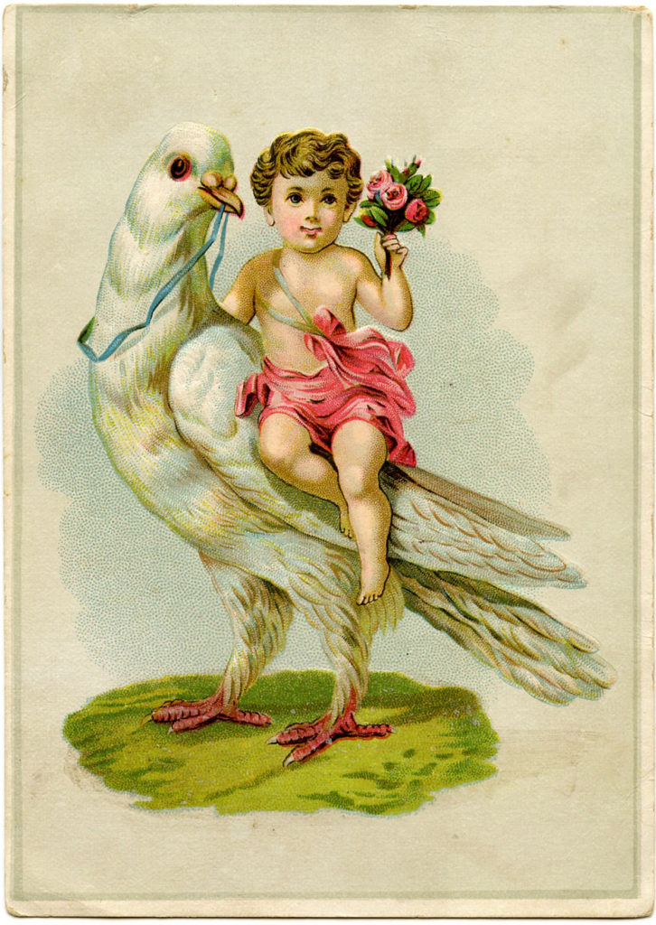 Cherub with Dove Image