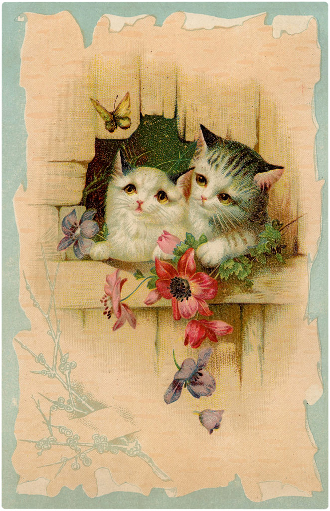 Kittens with Butterfly Image