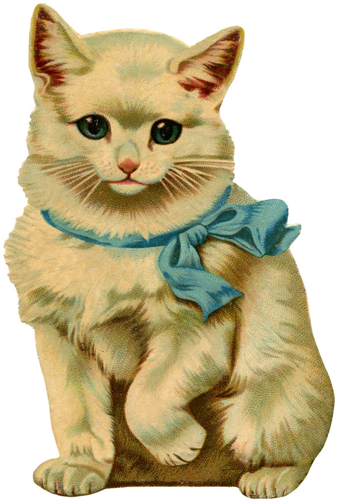 12 Beautiful Vintage  Kitten and Cat  Pictures The 