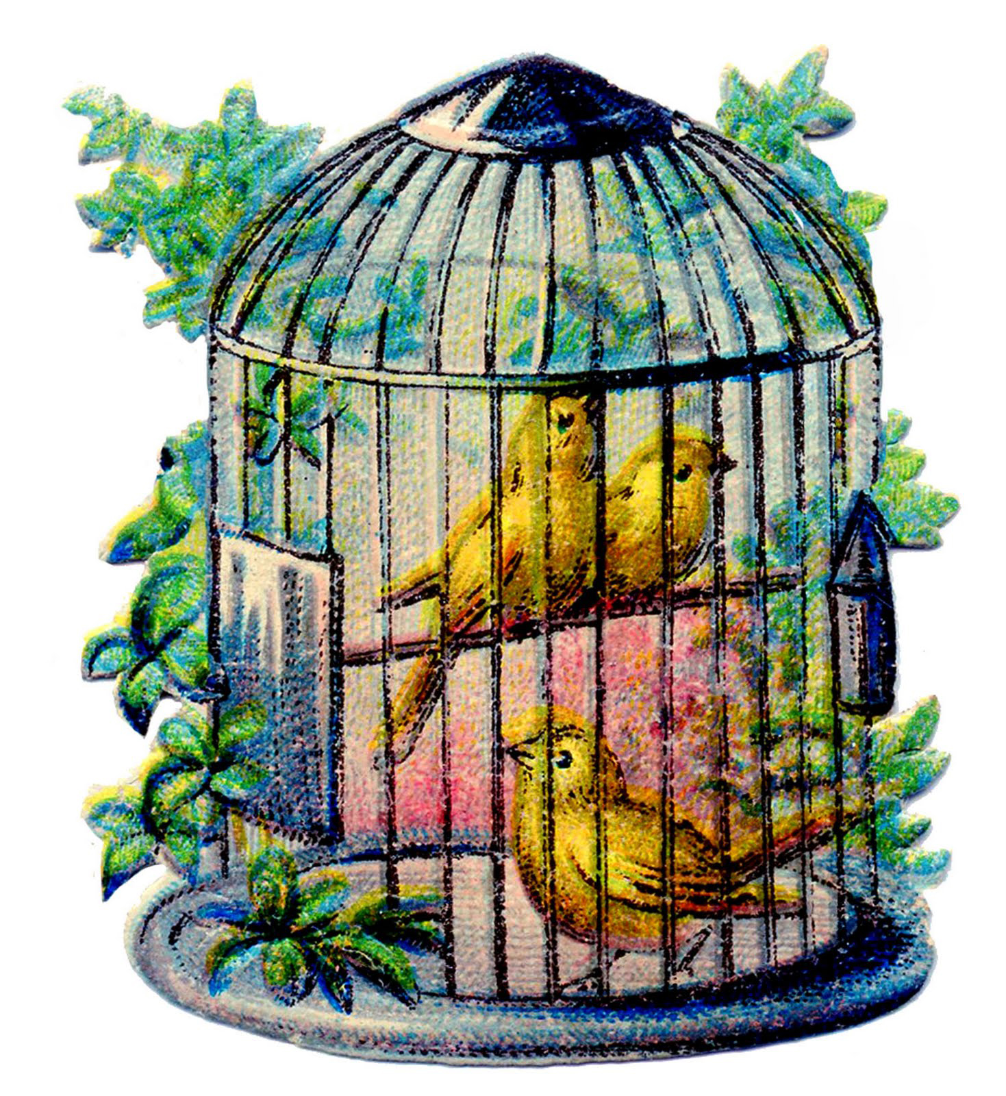 11 Canary Bird Images Cages The Graphics Fairy