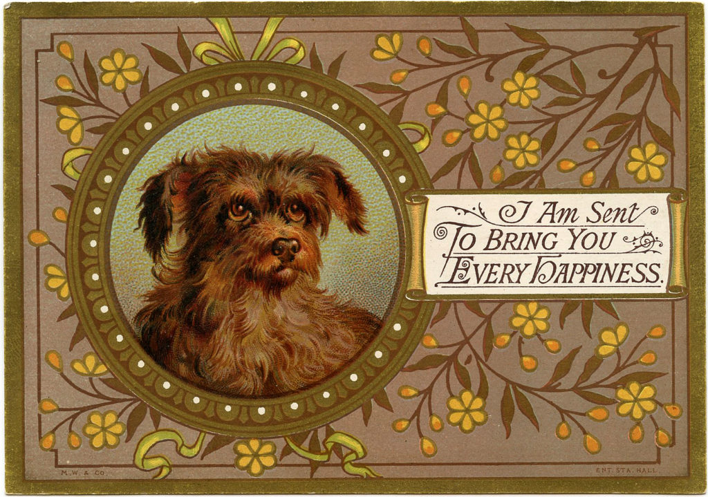 Vintage Dog Image Terrier