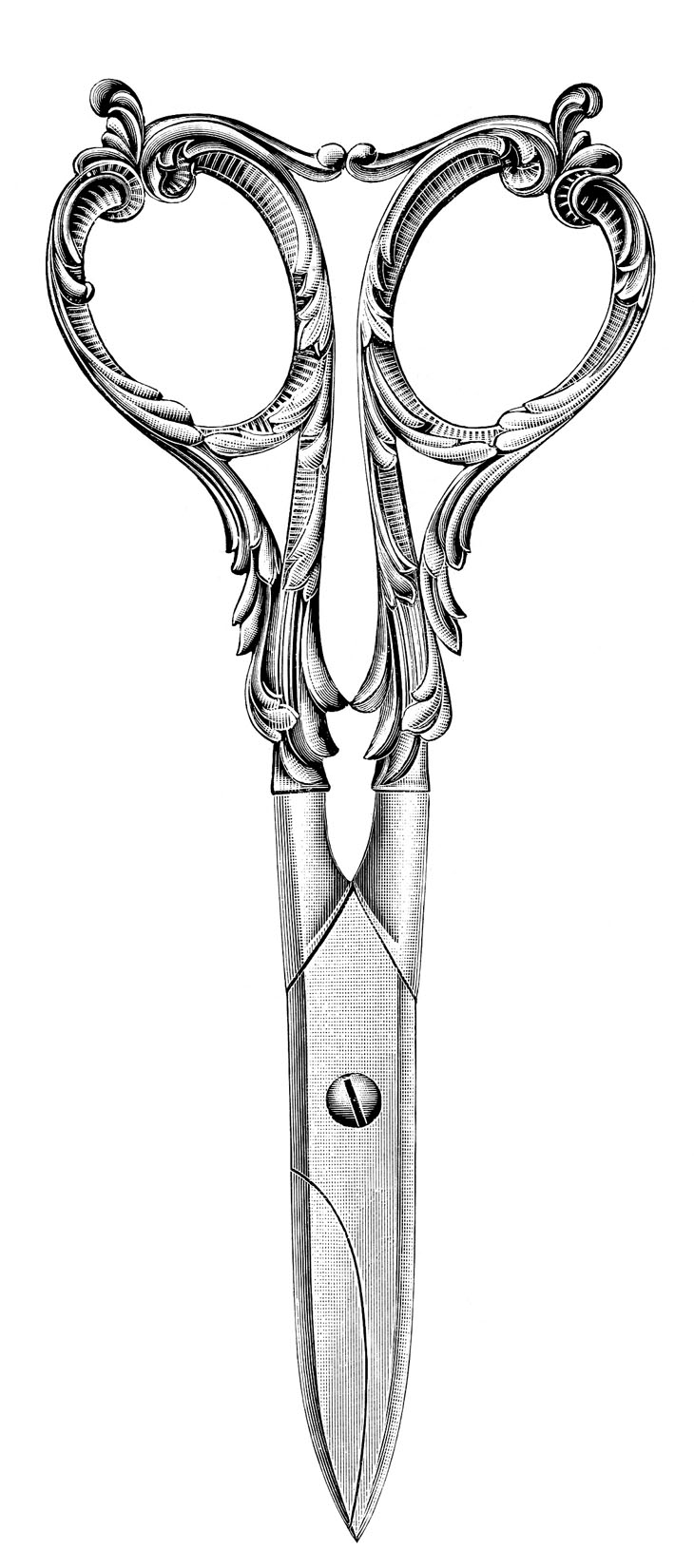 Fancy Ornate Sewing Scissors Clip Art Image