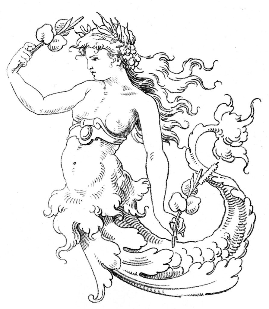 Mermaid Vintage Sketch