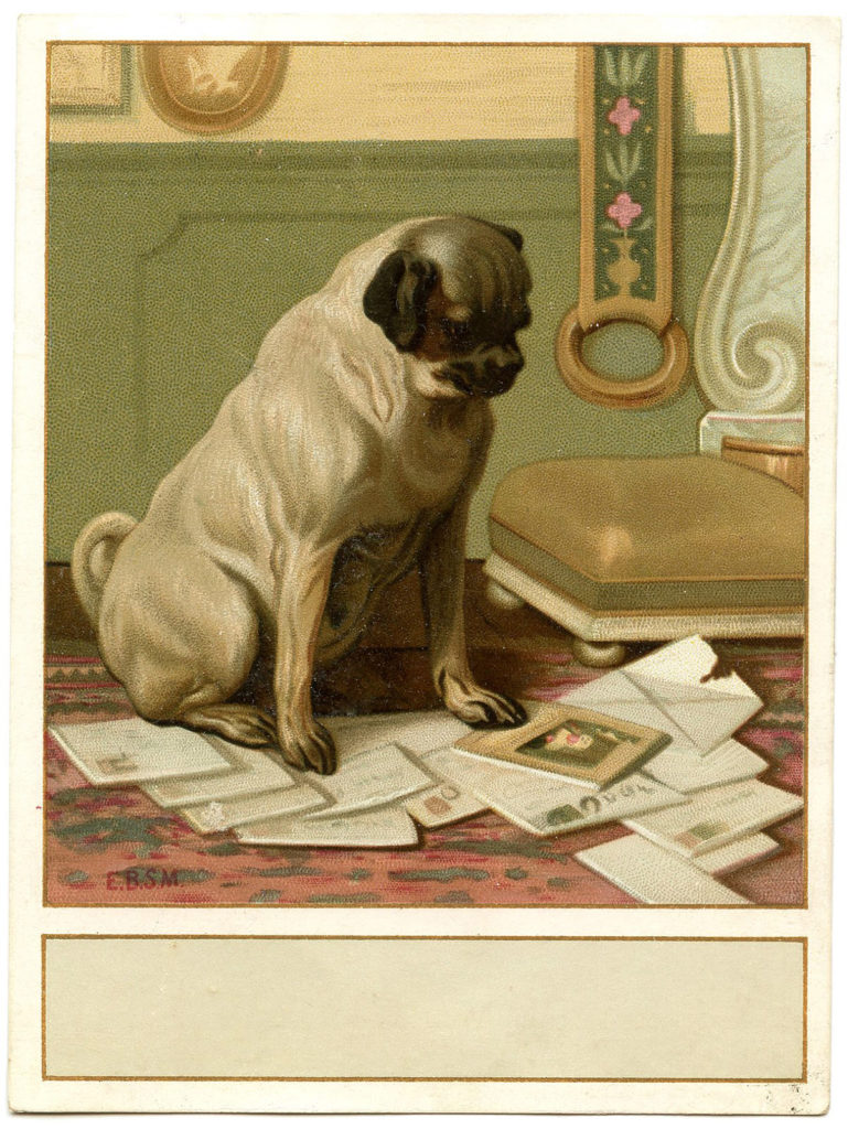 Pug Vintage Label