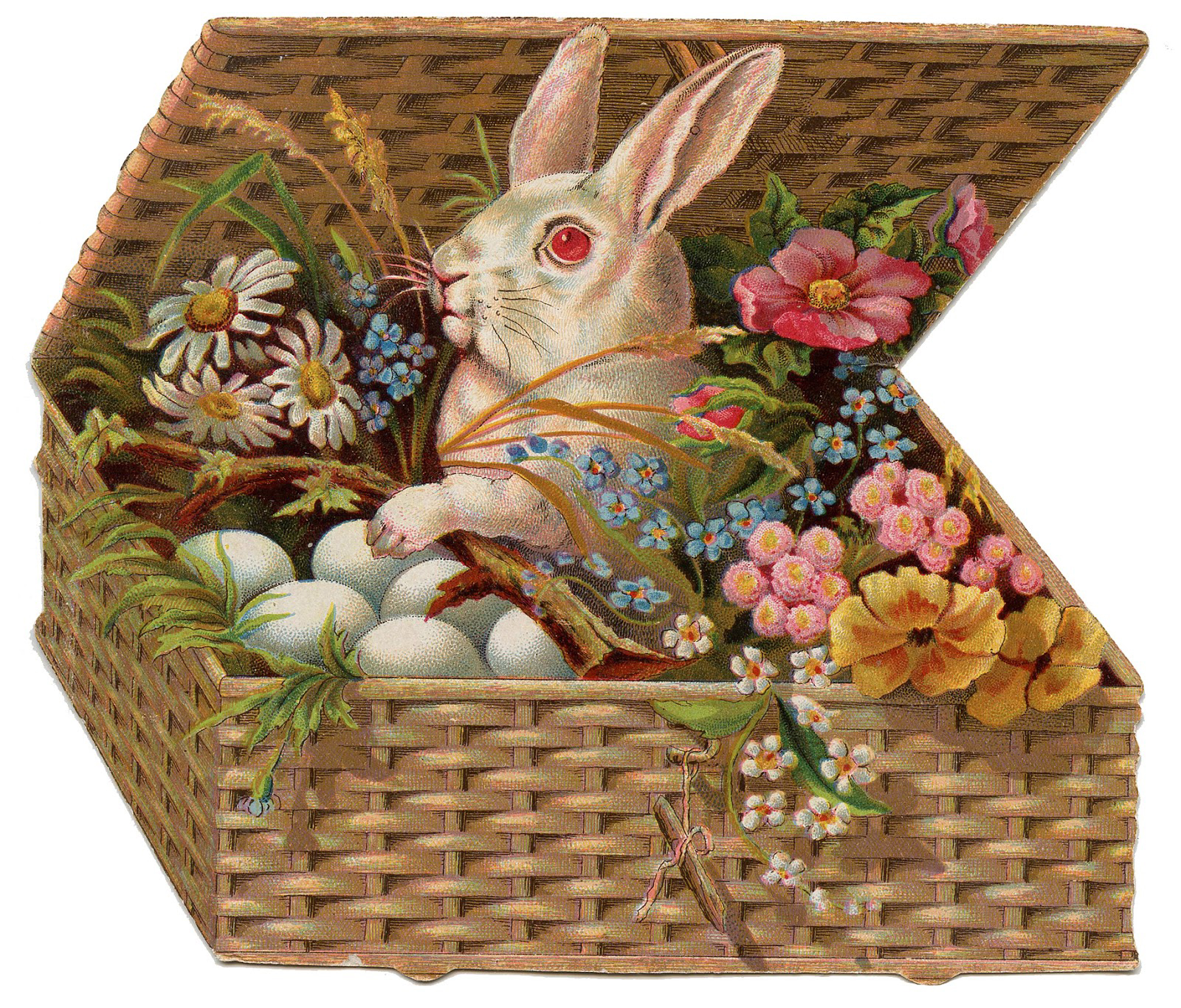 White Rabbit in Basket