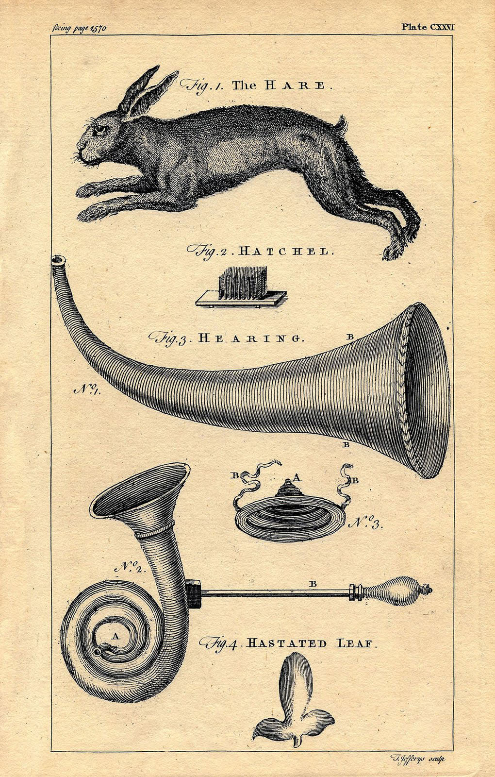 Antique Encyclopedia Page