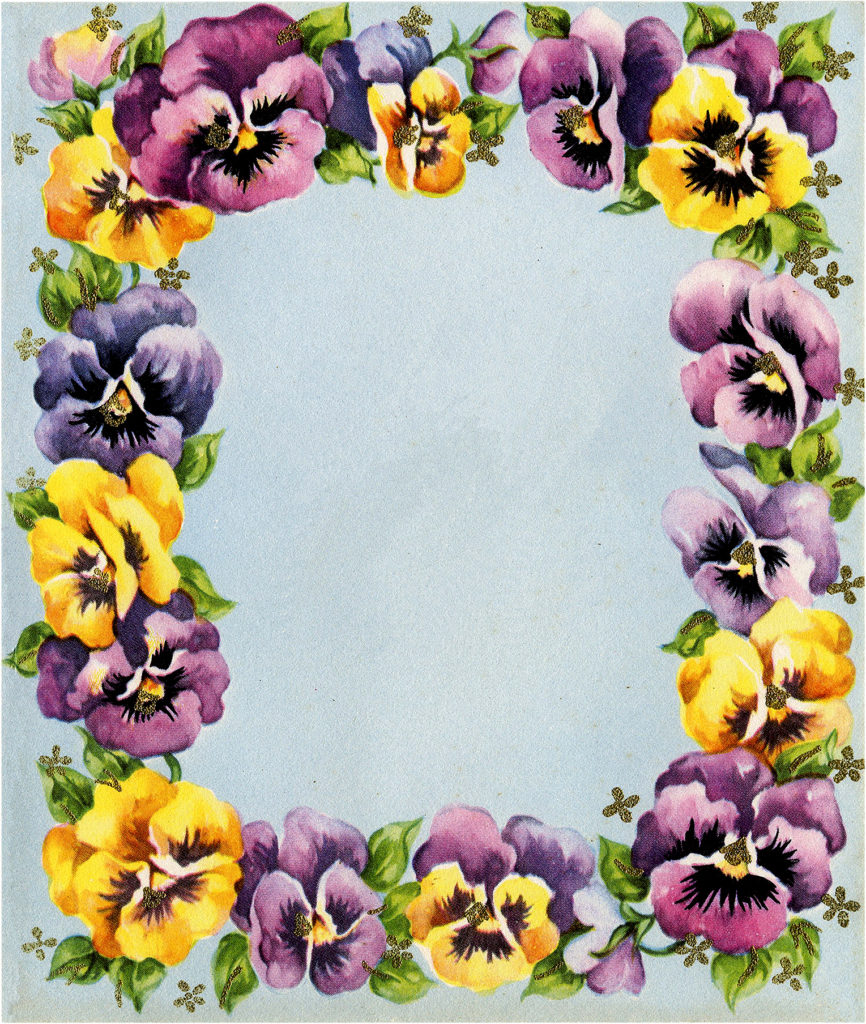 Pansy Floral Frame Graphic